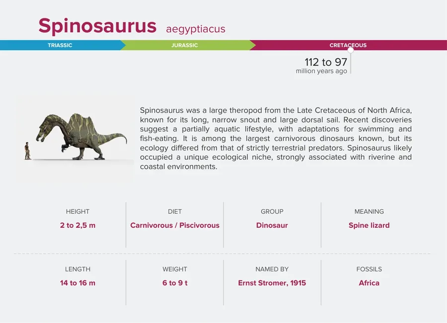 Spinosaurus — Back