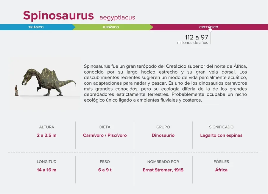 Spinosaurus — Reverso