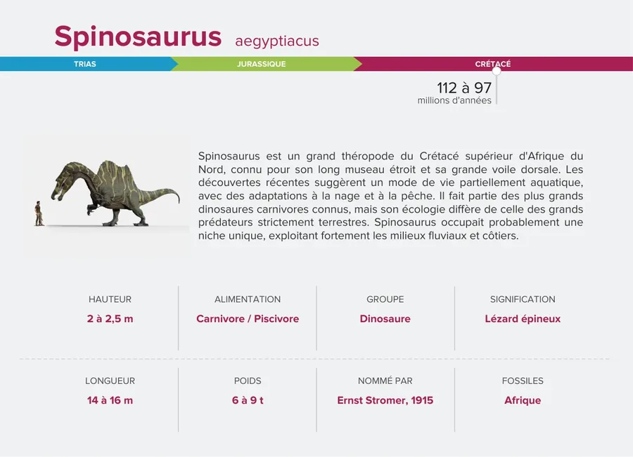 Spinosaurus — Verso