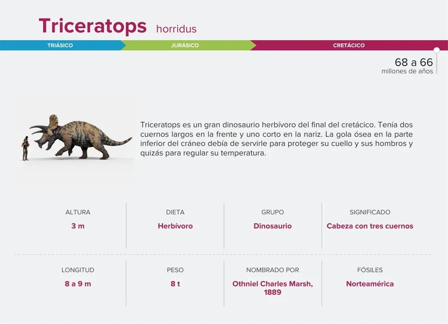 Triceratops — Reverso