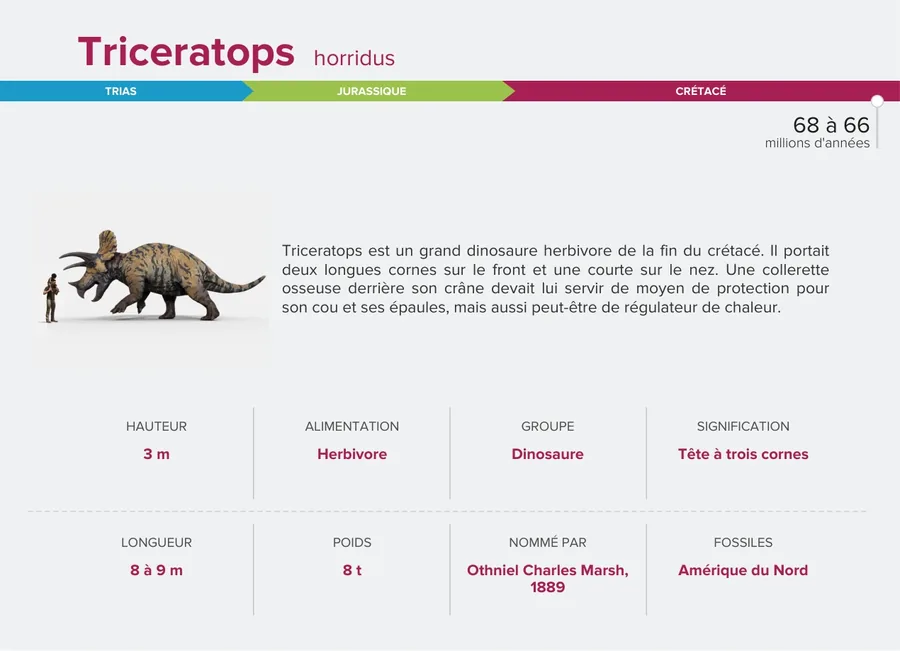 Triceratops — Verso